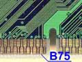 B75