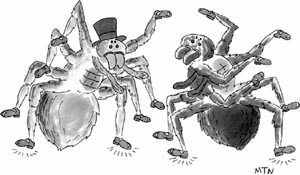Dancing Spiders